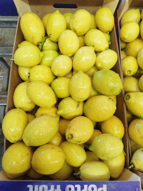 PORTOFRUIT greek fruits export