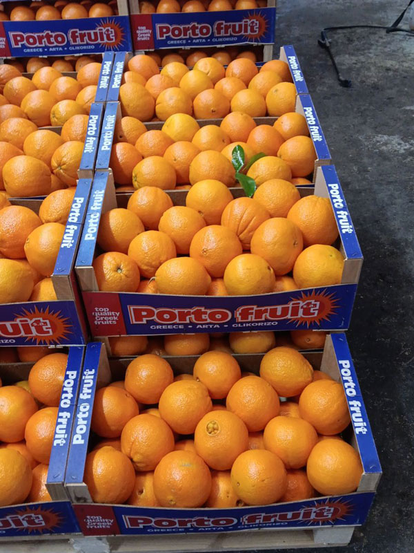PORTOFRUIT greek fruits export