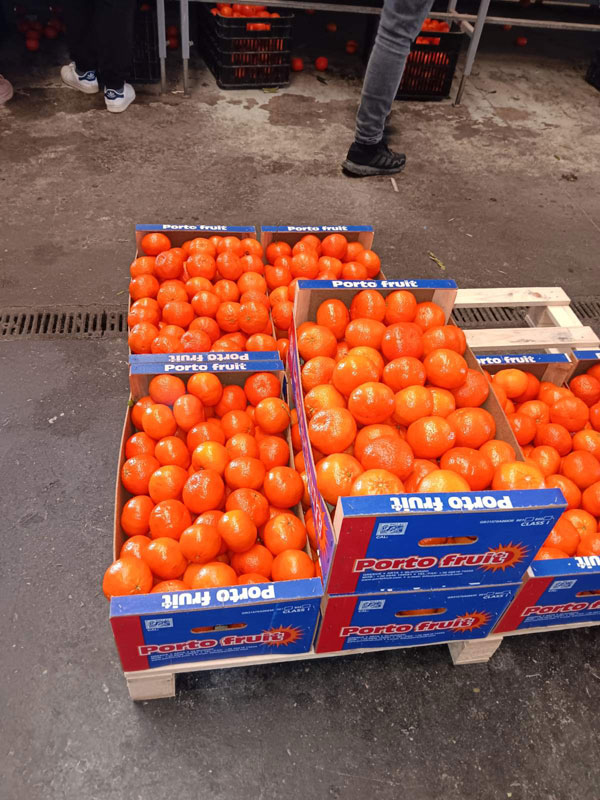 PORTOFRUIT greek fruits export