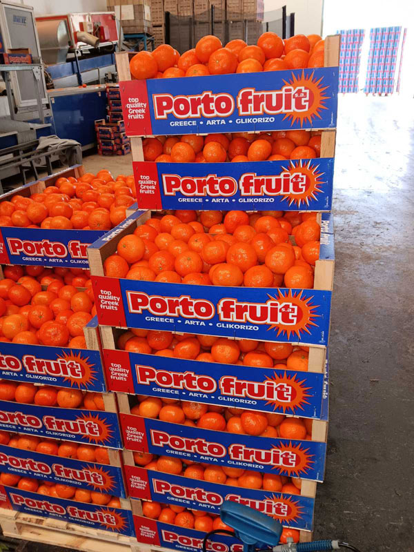 PORTOFRUIT greek fruits export