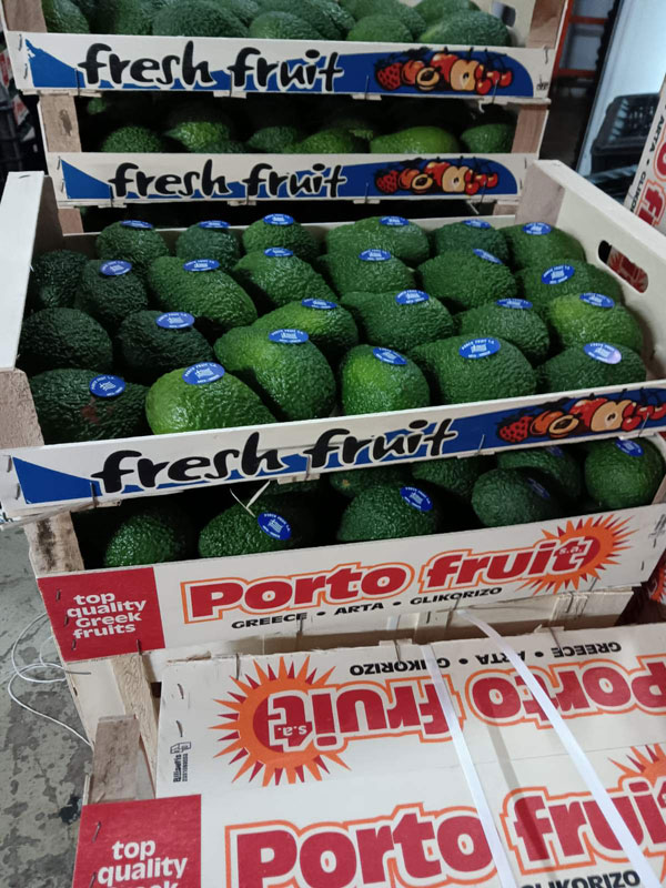 PORTOFRUIT greek fruits export