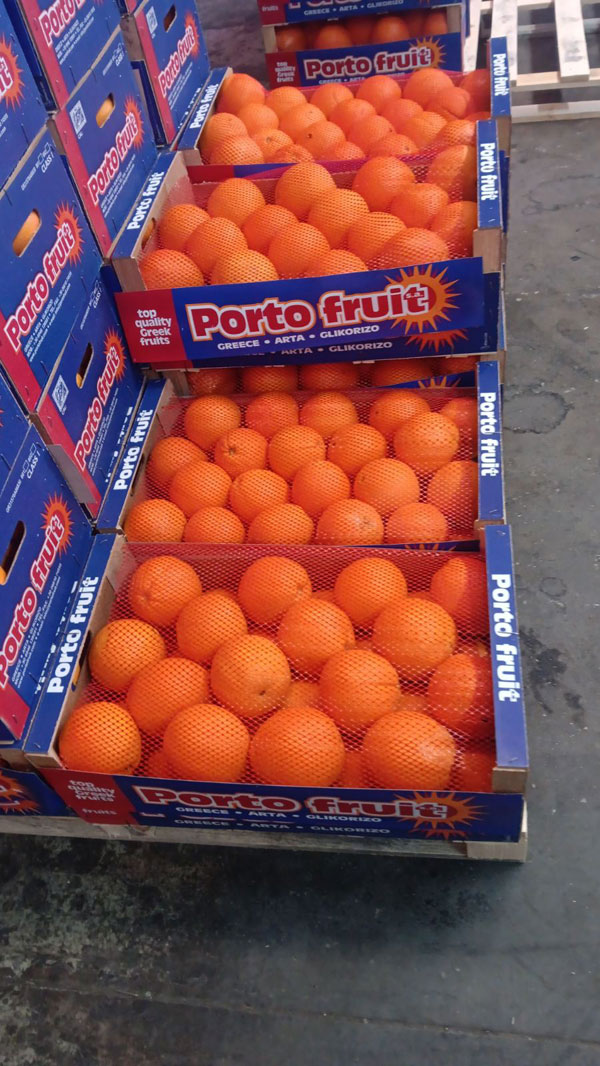 PORTOFRUIT greek fruits export
