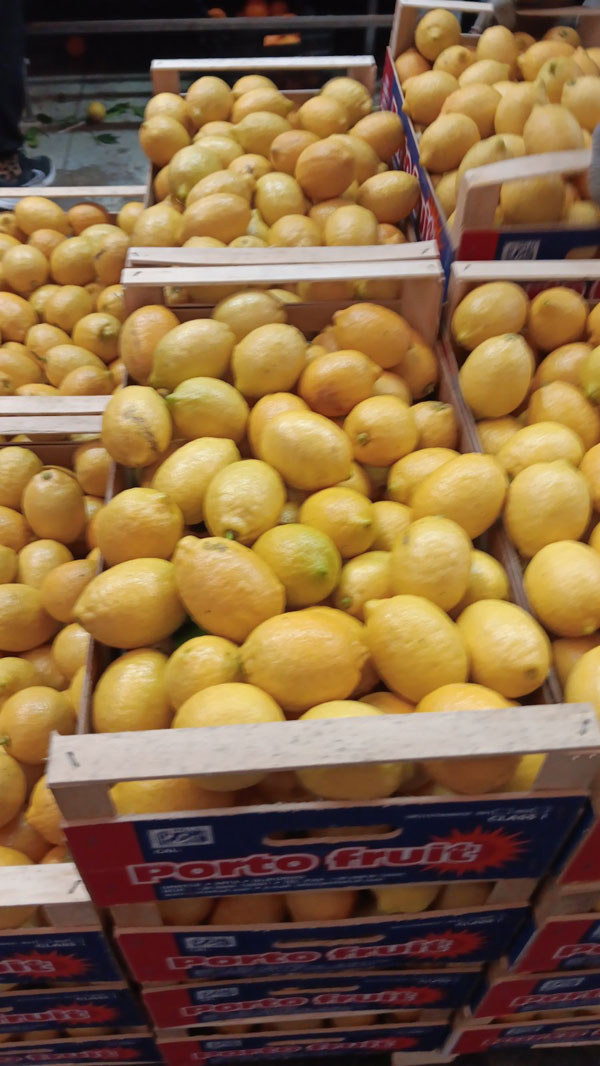 PORTOFRUIT greek fruits export