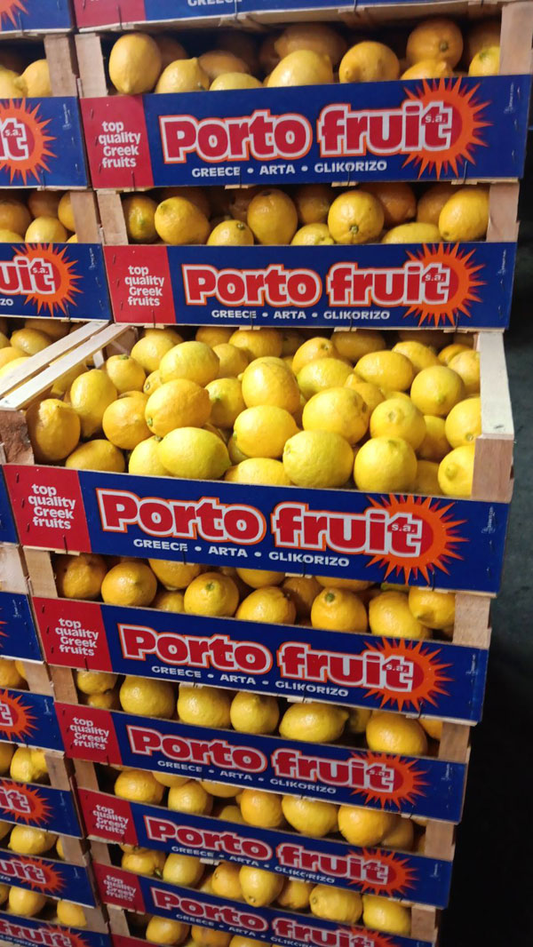 PORTOFRUIT greek fruits export
