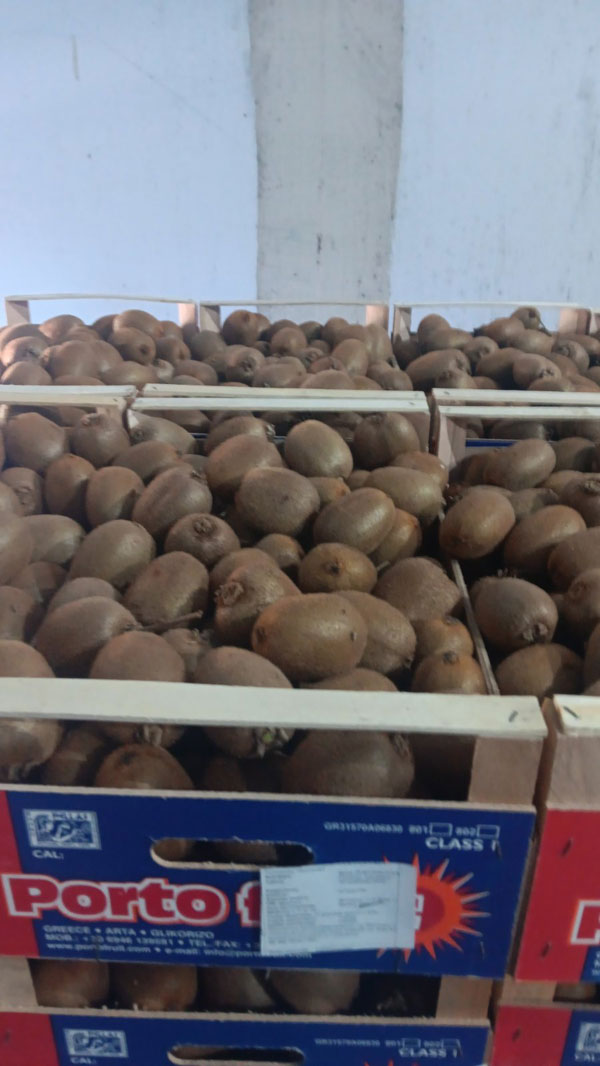 PORTOFRUIT greek fruits export